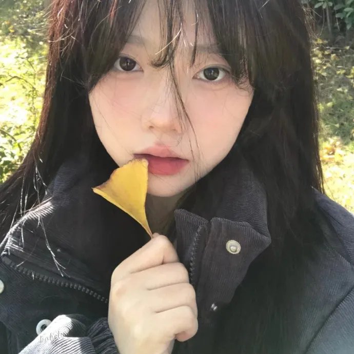 狮子与我