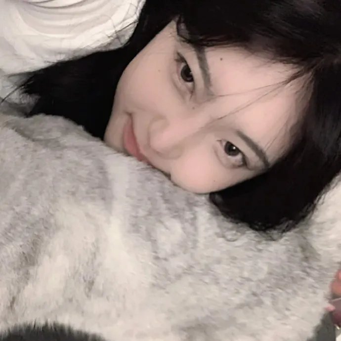 圆圆的故事